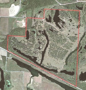 arialpic2.jpg